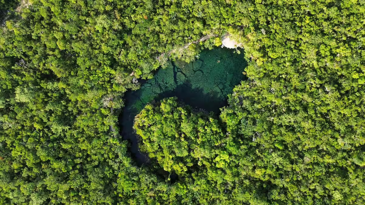 Home tulum luxury villa cenote